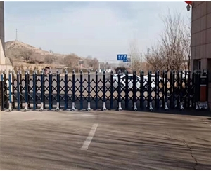 龍泉能源電動(dòng)伸縮門